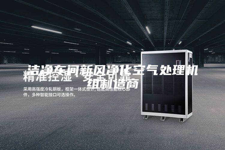 洁净车间新风净化空气处理机组制造商