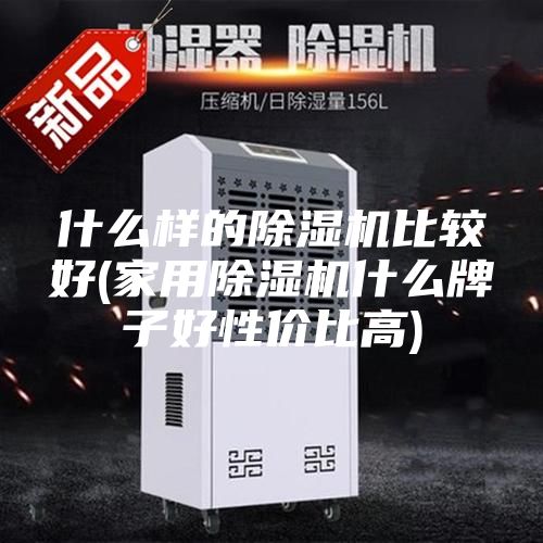 什么样的除湿机比较好(家用除湿机什么牌子好性价比高)