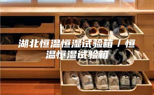 湖北恒温恒湿试验箱/恒温恒湿试验箱