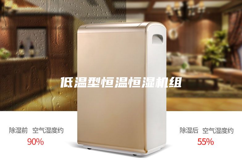 低温型恒温恒湿机组