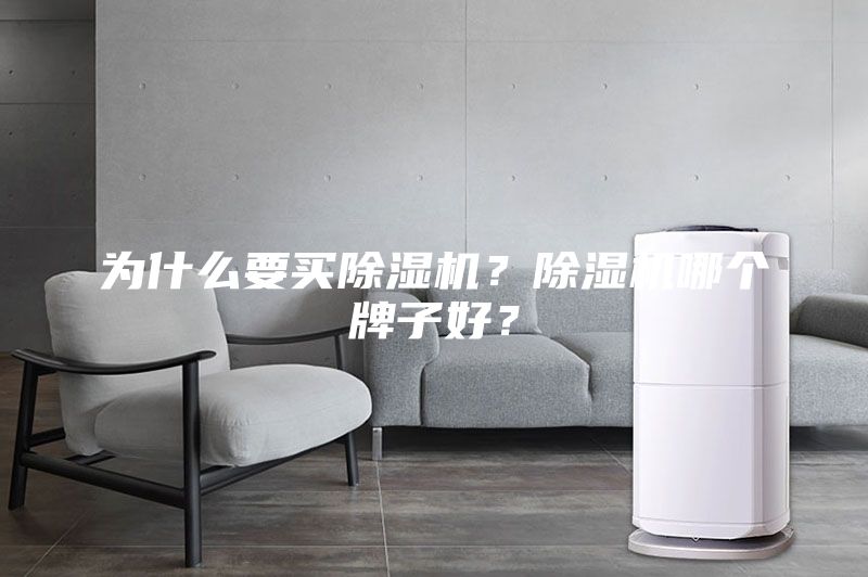 为什么要买除湿机?除湿机哪个牌子好?