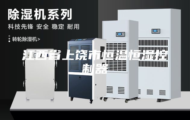 江西省上饶市恒温恒湿控制器