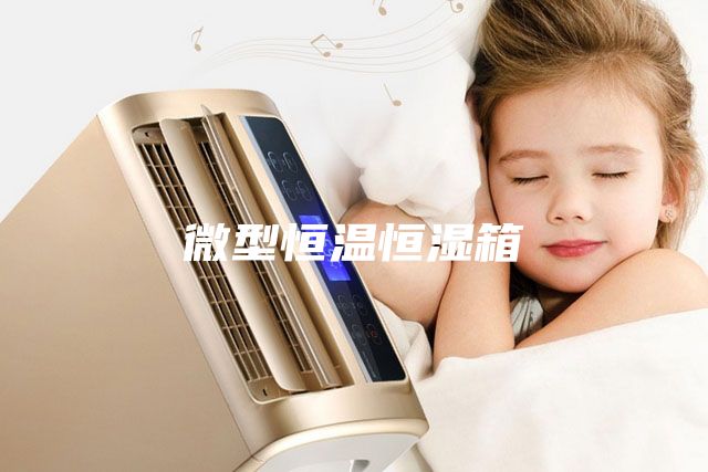 微型恒温恒湿箱