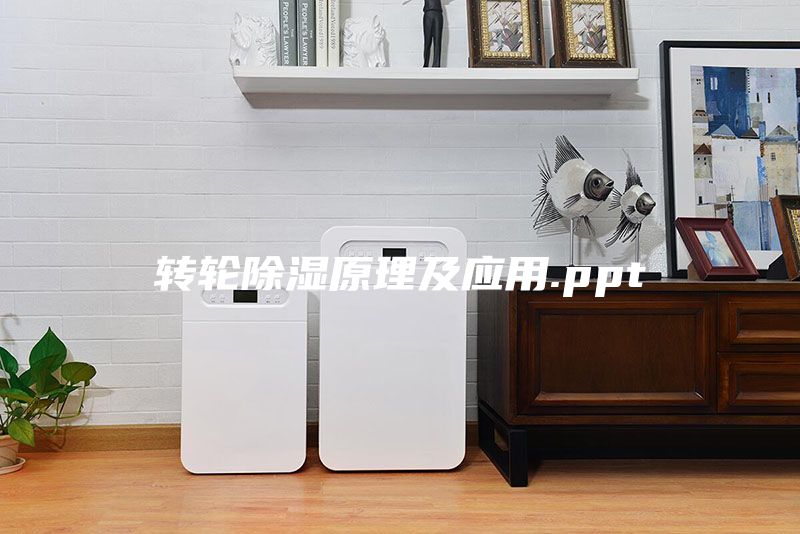 转轮除湿原理及应用.ppt