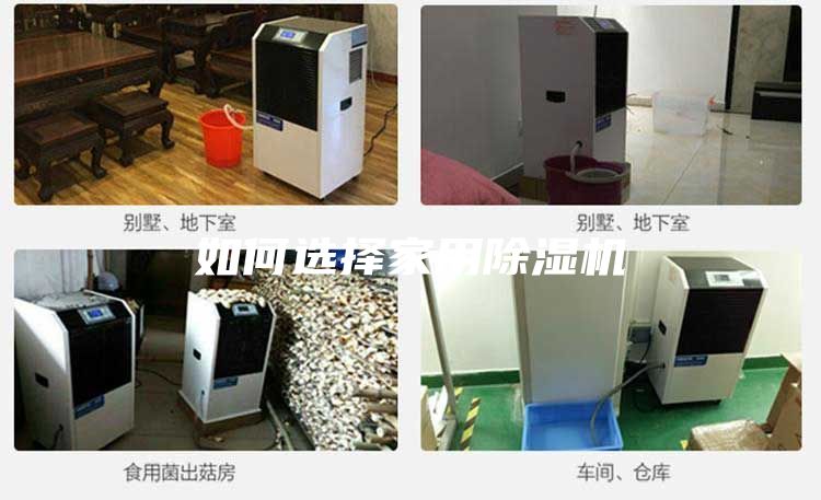 如何选择家用除湿机