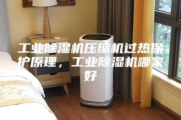 工业除湿机压缩机过热保护原理，工业除湿机哪家好