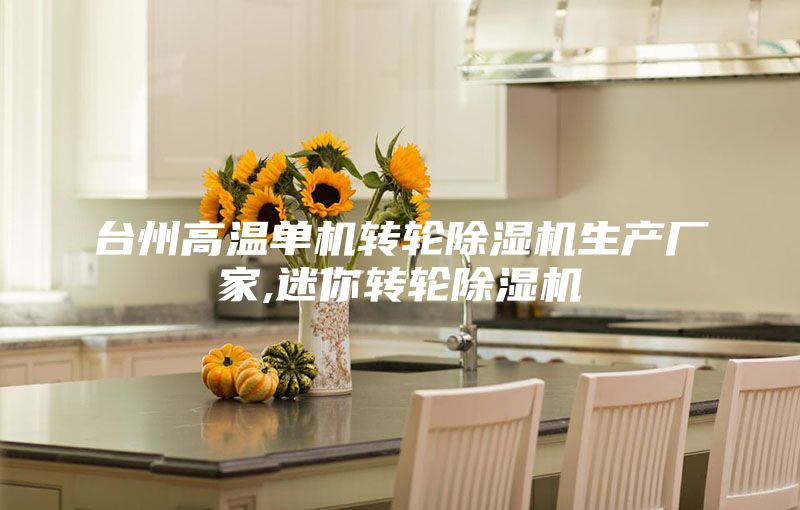 台州高温单机转轮除湿机生产厂家,迷你转轮除湿机
