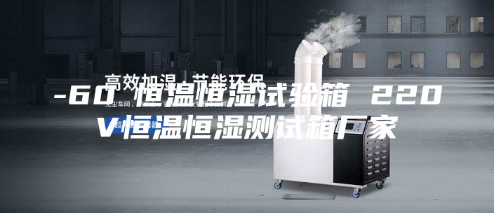 -60℃恒温恒湿试验箱 220V恒温恒湿测试箱厂家