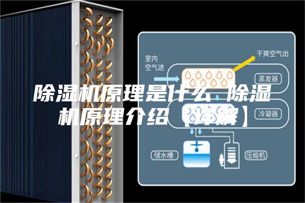 除湿机原理是什么 除湿机原理介绍【详解】