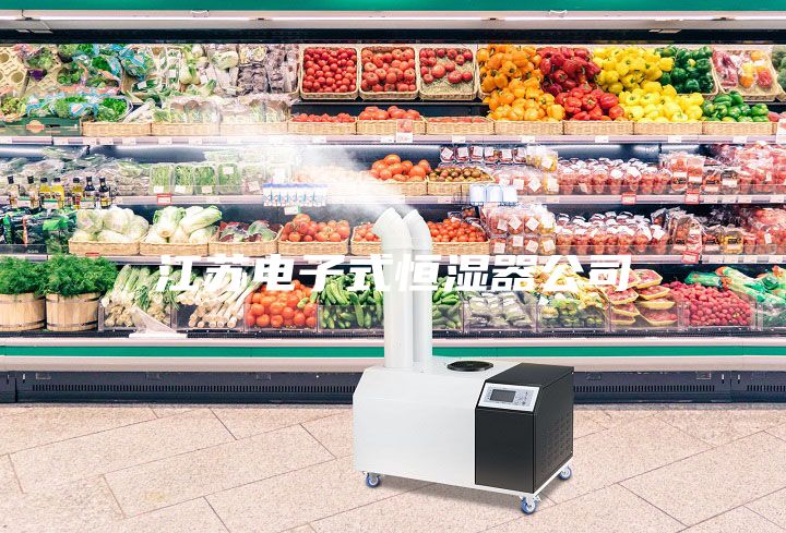 江苏电子式恒湿器公司