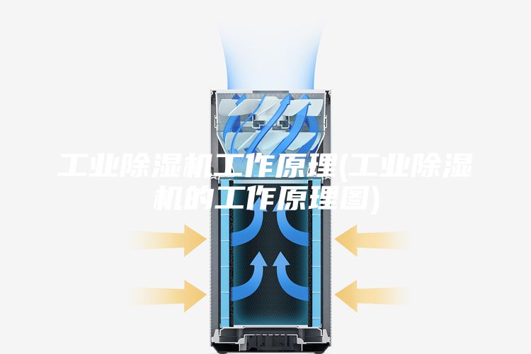 工业除湿机工作原理(工业除湿机的工作原理图)