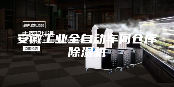 安徽工业全自动车间仓库除湿机