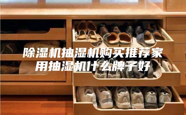 除湿机抽湿机购买推荐家用抽湿机什么牌子好