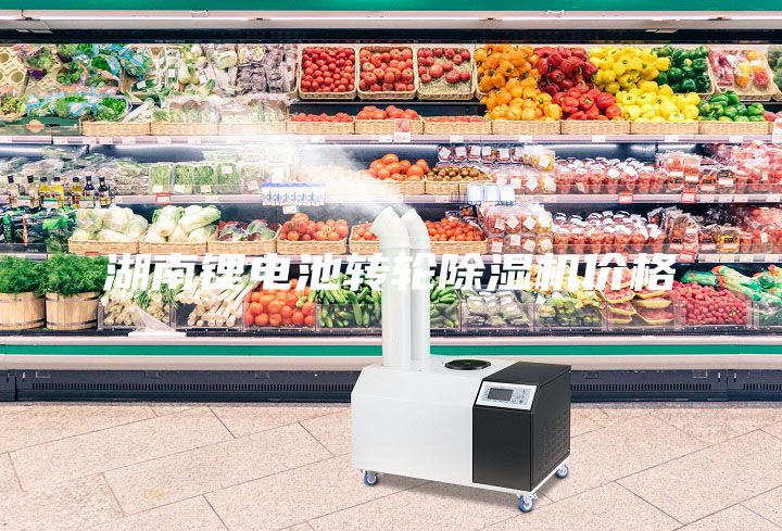 湖南锂电池转轮除湿机价格