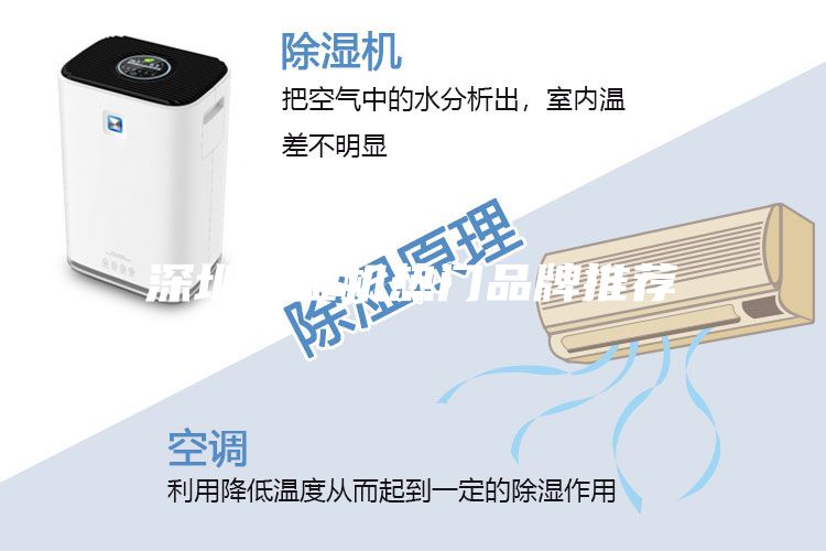 深圳除湿机热门品牌推荐