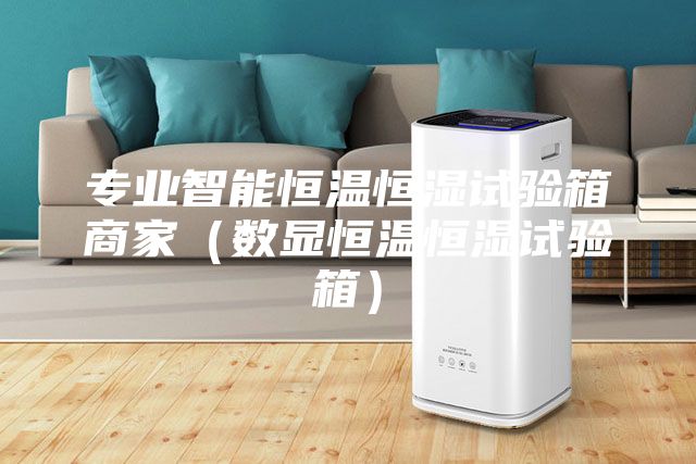 专业智能恒温恒湿试验箱商家（数显恒温恒湿试验箱）