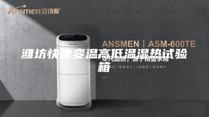 潍坊快速变温高低温湿热试验箱