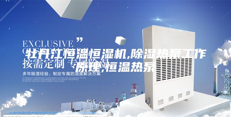 牡丹江恒温恒湿机,除湿热泵工作原理,恒温热泵