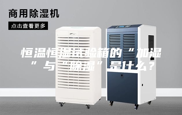 恒温恒湿试验箱的“加湿”与“除湿”是什么？