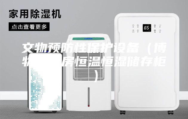 文物预防性保护设备（博物馆库房恒温恒湿储存柜）