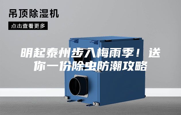 明起泰州步入梅雨季！送你一份除虫防潮攻略