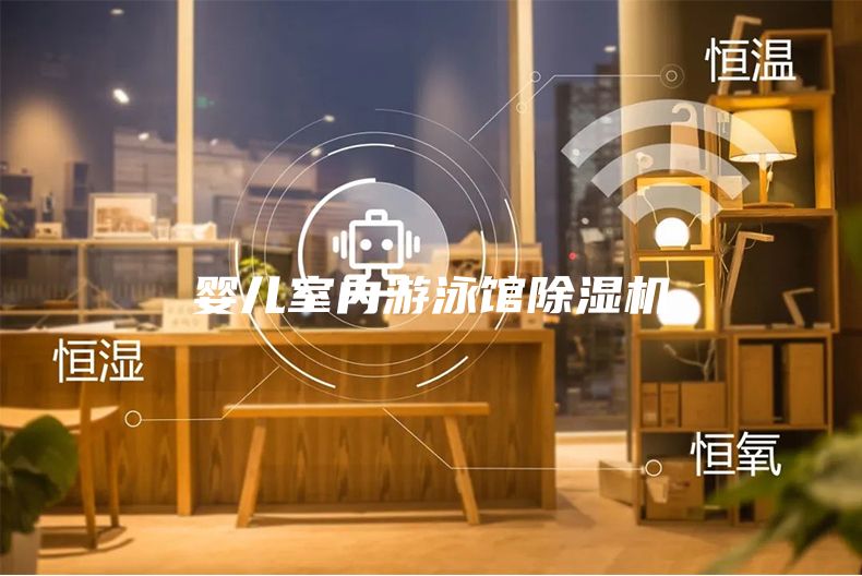 婴儿室内游泳馆除湿机