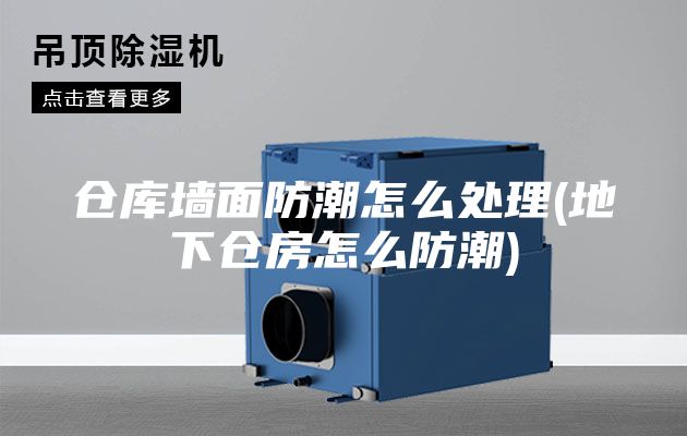 仓库墙面防潮怎么处理(地下仓房怎么防潮)