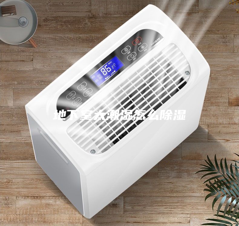 地下室太潮湿怎么除湿