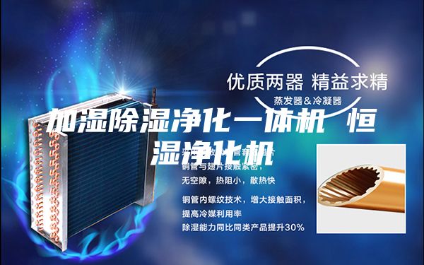 加湿除湿净化一体机 恒湿净化机