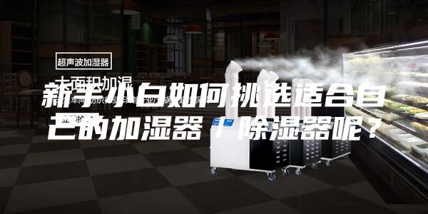 新手小白如何挑选适合自己的加湿器／除湿器呢？