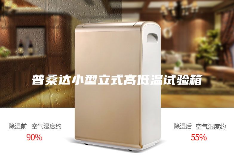 普桑达小型立式高低温试验箱