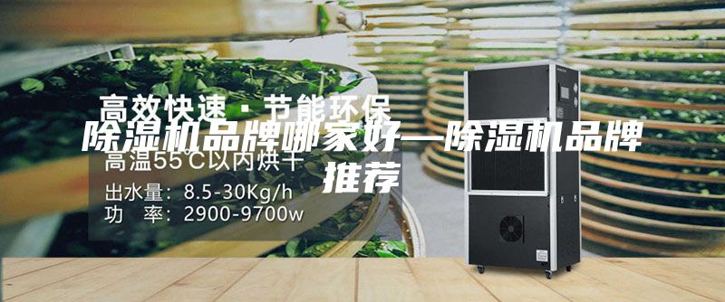 除湿机品牌哪家好—除湿机品牌推荐