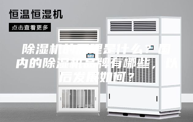 除湿机的原理是什么？国内的除湿机品牌有哪些，以后发展如何？