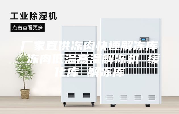 厂家直供冻肉快速解冻库 冻肉低温高湿解冻机 缓化库 解冻库