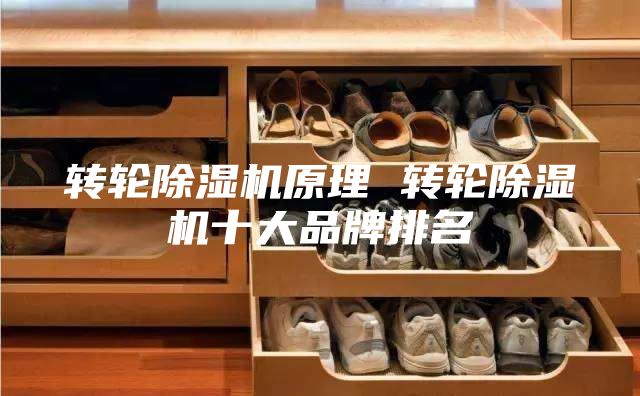 转轮除湿机原理 转轮除湿机十大品牌排名
