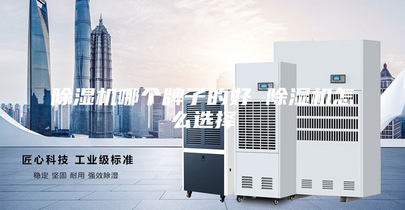 除湿机哪个牌子的好 除湿机怎么选择