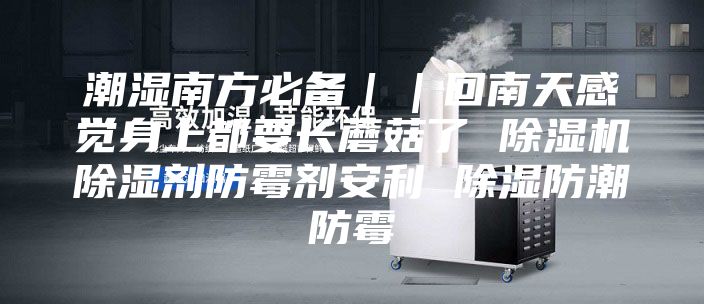 潮湿南方必备｜｜回南天感觉身上都要长蘑菇了 除湿机除湿剂防霉剂安利 除湿防潮防霉
