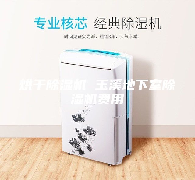 烘干除湿机 玉溪地下室除湿机费用