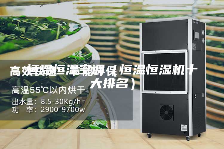 恒温恒湿空调（恒温恒湿机十大排名）