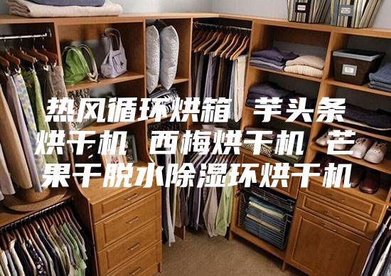 热风循环烘箱 芋头条烘干机 西梅烘干机 芒果干脱水除湿环烘干机