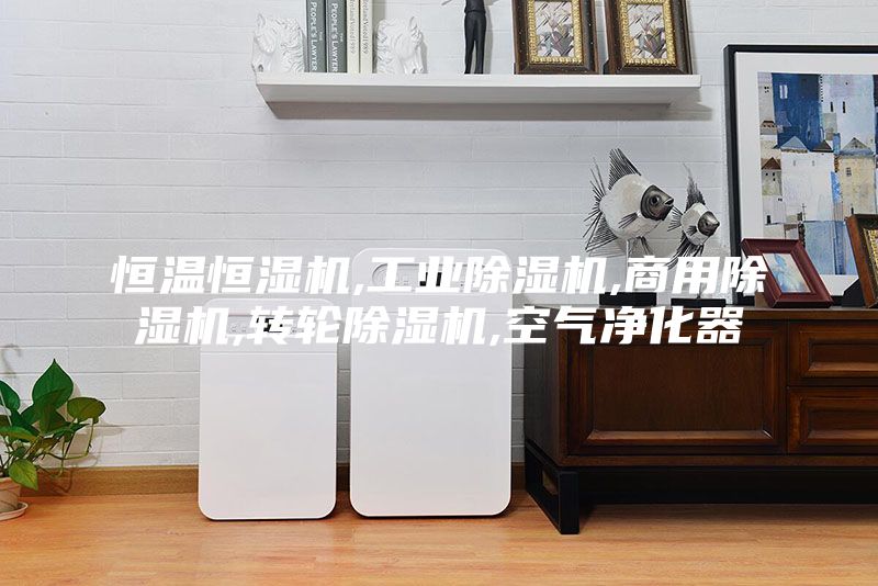 恒温恒湿机,工业除湿机,商用除湿机,转轮除湿机,空气净化器
