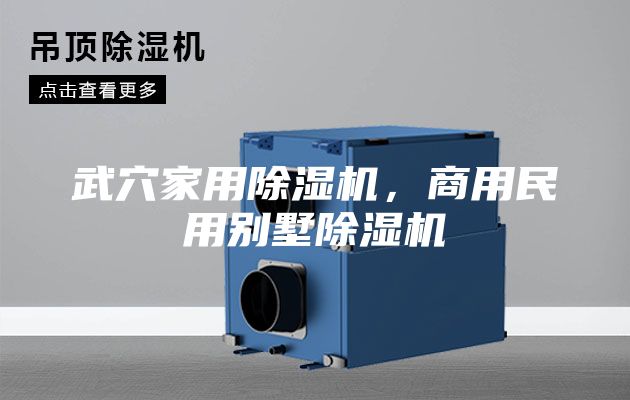 武穴家用除湿机，商用民用别墅除湿机