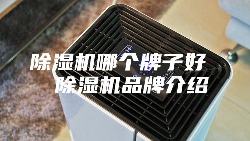 除湿机哪个牌子好  除湿机品牌介绍