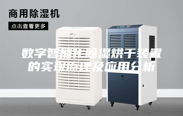 数字智能化除湿烘干装置的实现原理及应用分析