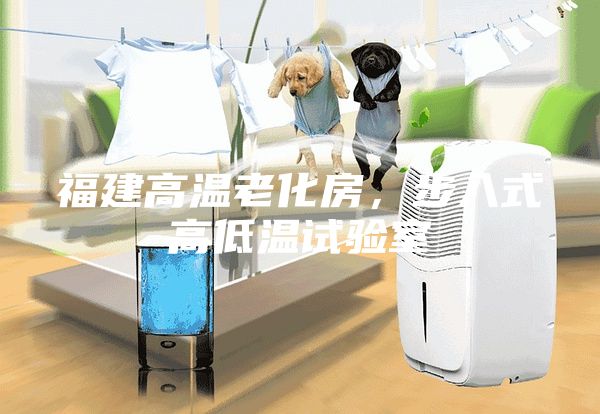 福建高温老化房,步入式高低温试验室