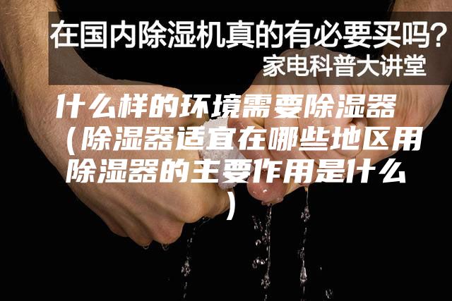 什么样的环境需要除湿器（除湿器适宜在哪些地区用 除湿器的主要作用是什么）