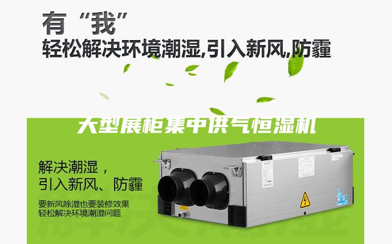 大型展柜集中供气恒湿机