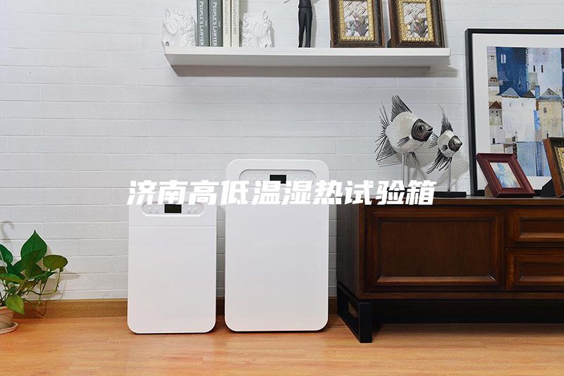 济南高低温湿热试验箱