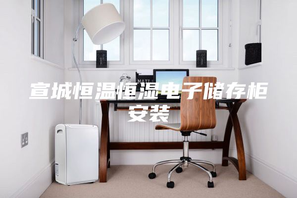 宣城恒温恒湿电子储存柜安装