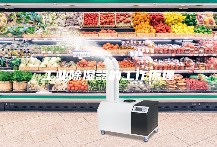 工业除湿器的工作原理